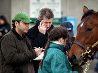 2013 Fasig-Tipton Winter Mixed Sale