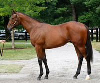 Hip98FTK7-10ZTT24