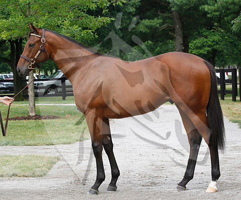 Hip98FTK7-10ZTT24