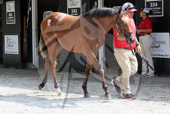 Hip316FTNY8-25FTK9493