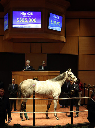 Hip426FTK2-16FTK31
