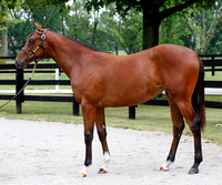 Hip7FTK7-10ZTT43