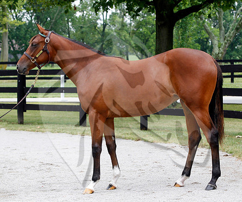 Hip7FTK7-10ZTT43