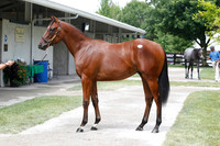 Hip93FTK7-10ZTT10