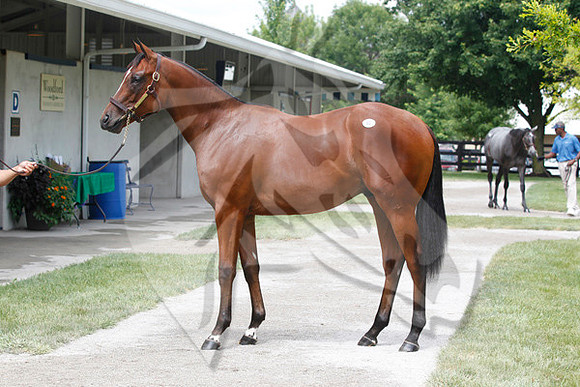 Hip93FTK7-10ZTT10