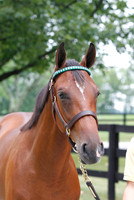 Hip7FTK7-10ZTT46