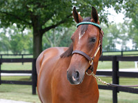 Hip7FTK7-10ZTT53