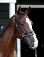 Hip82FTS07