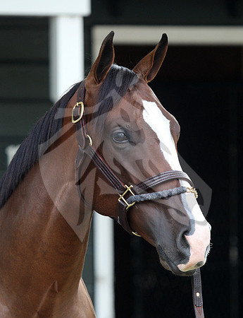 Hip82FTS07