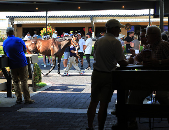 5K233402