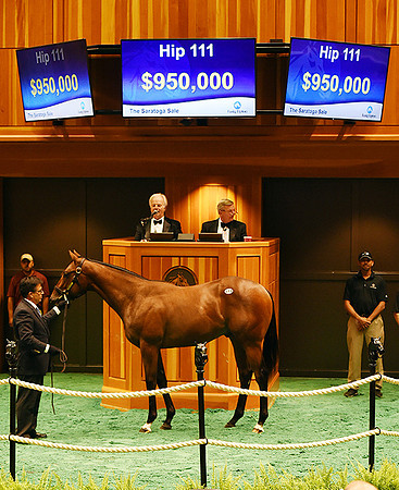 Hip111FTS8-16FTS797