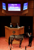 2015 Fasig-Tipton July Sale