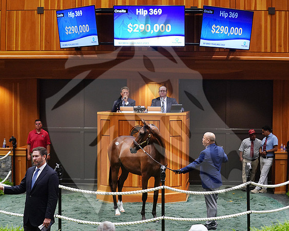 Hip369FTNY8-23FTK2321