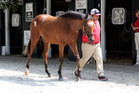 Hip316FTNY8-25FTK9489