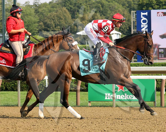 MicrobiomeFTK7803