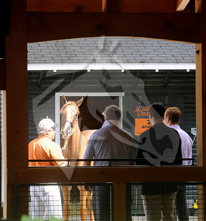 buyers04a_ft08_13_nybred_hr