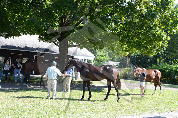 scenic04a_ft08_13_nybred_hr