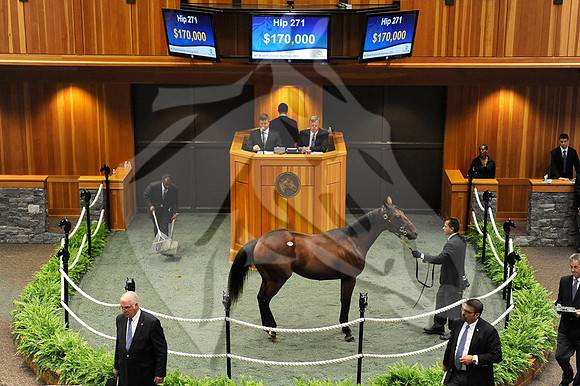 hip271_01a_ft08_13_nybred_hr