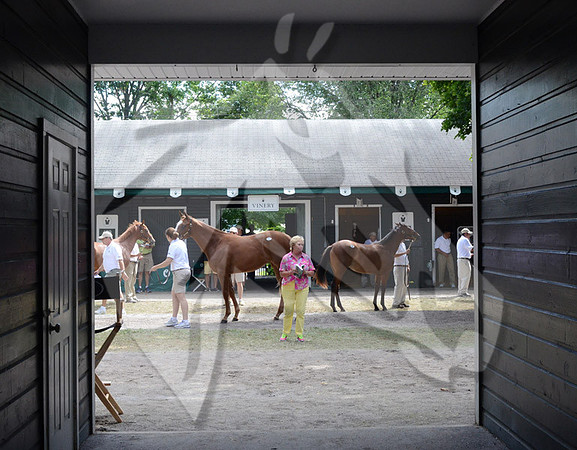 scenic03a_ft08_13_nybred_hr