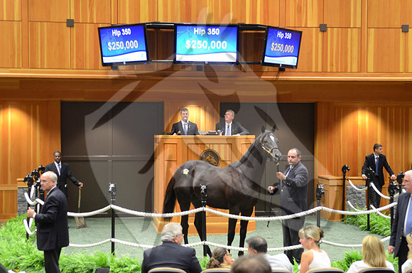 hip350_01a_ft08_13_nybred_hr