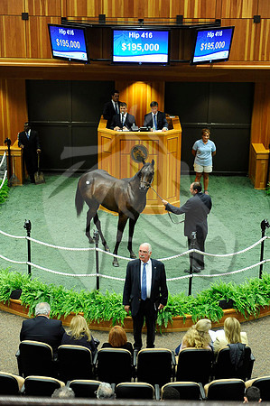 hip416_02a_ft08_13_nybred_hr