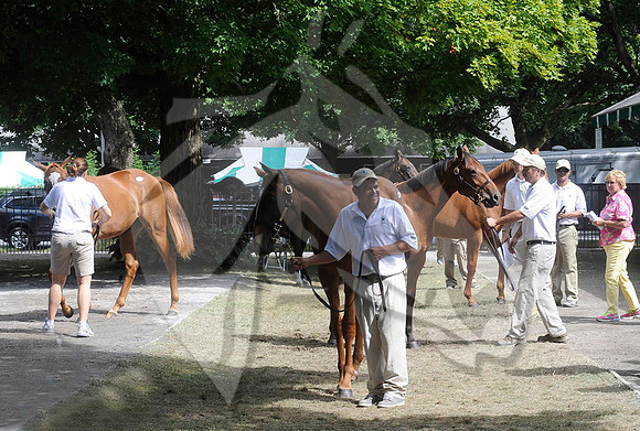 scenic01a_ft08_13_nybred_hr