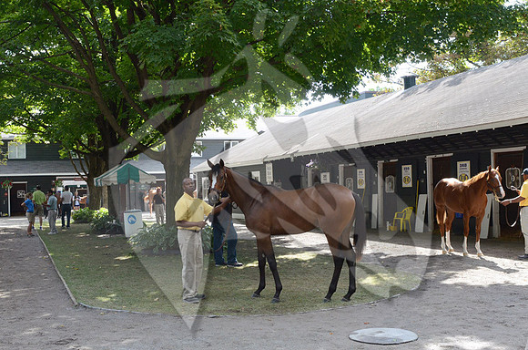 scenic05a_ft08_13_nybred_hr