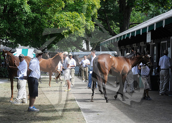 scenic02a_ft08_13_nybred_hr
