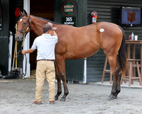 Hip324FTNY8-25FTK9720
