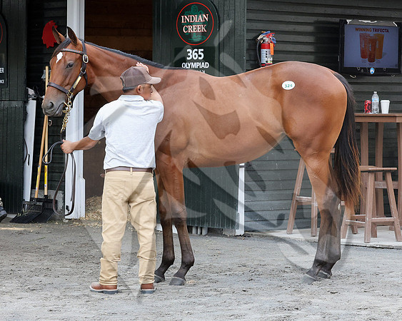 Hip324FTNY8-25FTK9720