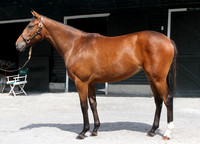 Hip44FTK8-14FTK72