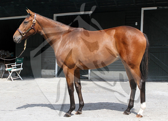 Hip44FTK8-14FTK72