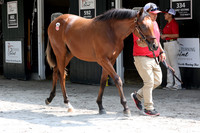 Hip316FTNY8-25FTK9493