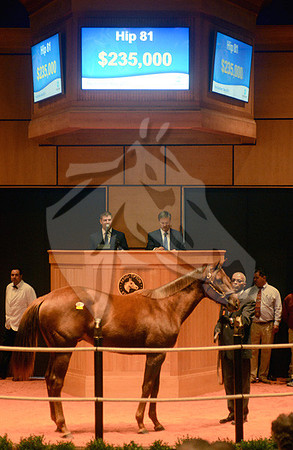 Hip81FTK10-13FTK18