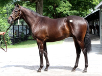 Hip26FTS8-14FTK53