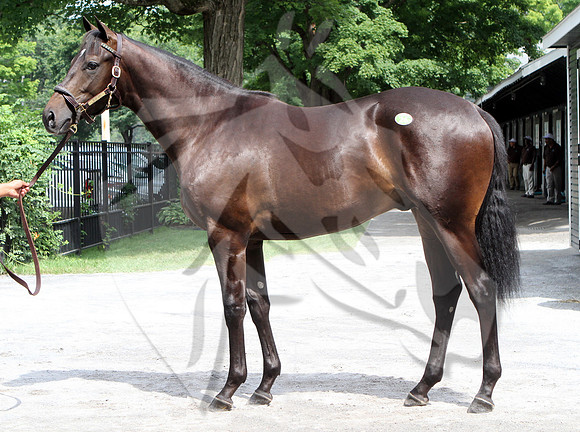 Hip26FTS8-14FTK53