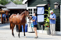 Hip516FTNY8-25FTK9554