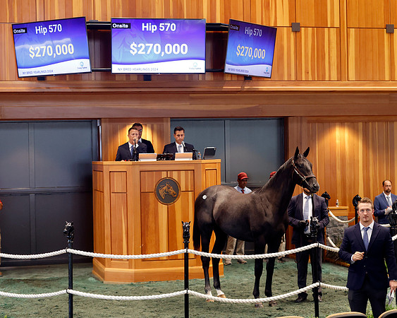 Hip570FTNY8-24FTK722