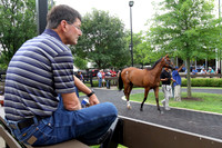 2014 Fasig-Tipton July Sale