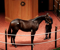 Hip361FTK10-14FTK74