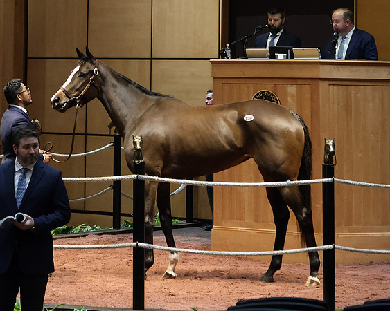 Hip150SycamoreShoals2-25FTK4305