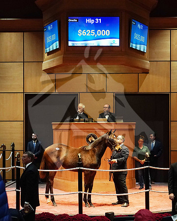 Hip31FTK11-22FTK