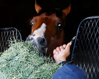Hip389ThisismyfoodFTMD5-13FTK069