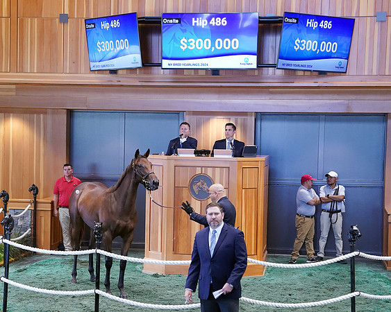 Hip486FTNY8-24FTK122