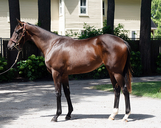 Hip420FTNY8-24FTK