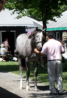 Hip69FTS45