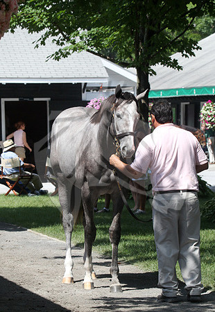 Hip69FTS45
