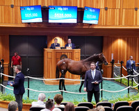 Hip331FTNY8-25FTK340