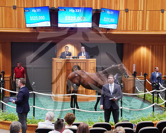 Hip331FTNY8-25FTK340