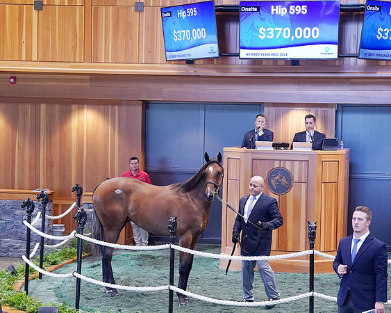 Hip595FTNY8-24FTK743